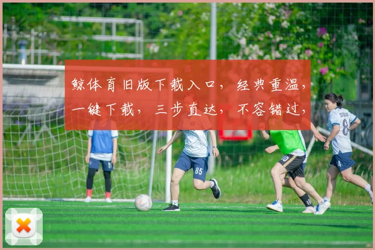 鲸体育旧版下载入口，经典重温，一键下载，三步直达，不容错过，体验回忆