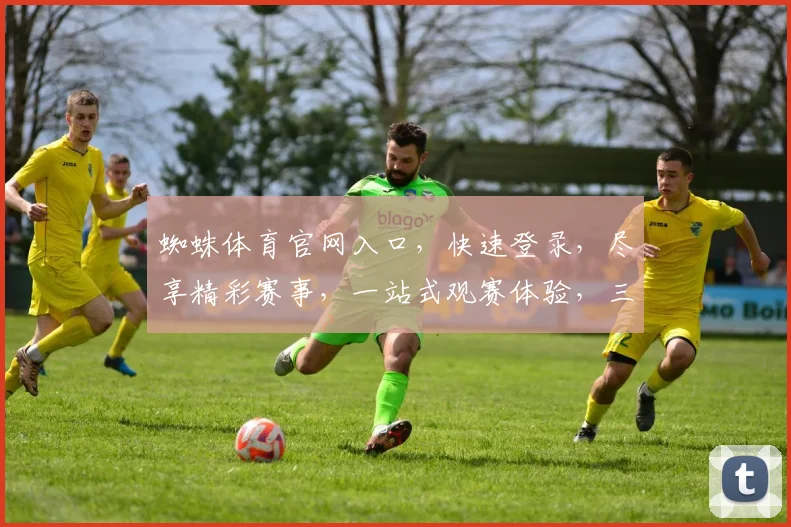 蜘蛛体育官网入口，快速登录，尽享精彩赛事，一站式观赛体验，三步直达