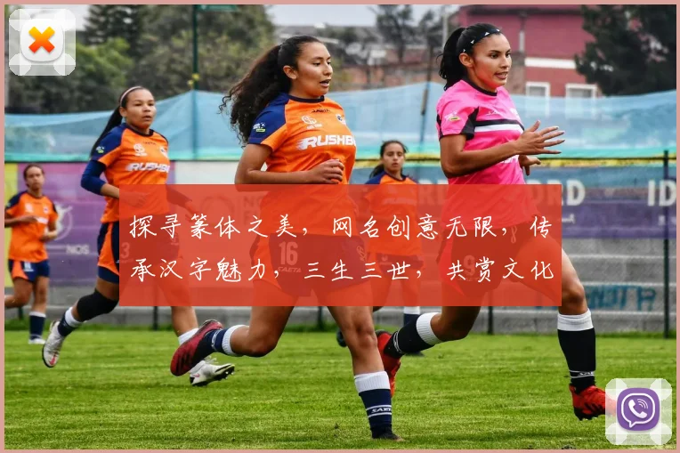 探寻篆体之美，网名创意无限，传承汉字魅力，三生三世，共赏文化盛宴
